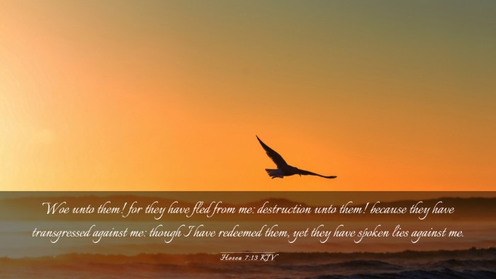 Picture 03 - Hosea 7:13 KJV Desktop Wallpaper - Woe unto them! for they have fled from me: - Desktop Bible Verse Wallpaper