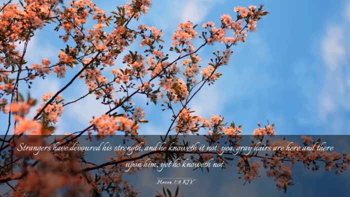 Picture 03 - Hosea 7:9 KJV Desktop Wallpaper - Strangers have devoured his strength, and he - Desktop Bible Verse Wallpaper