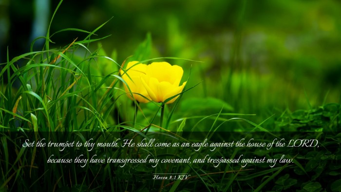 Picture 03 - Hosea 8:1 KJV Desktop Wallpaper - Set the trumpet to thy mouth. He shall come as an - Desktop Bible Verse Wallpaper