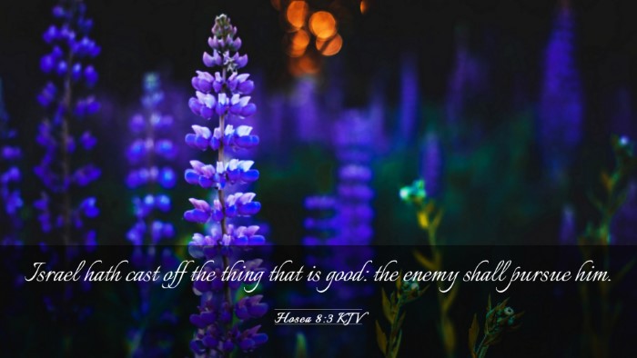 Picture 03 - Hosea 8:3 KJV Desktop Wallpaper - Israel hath cast off the thing that is good: the - Desktop Bible Verse Wallpaper