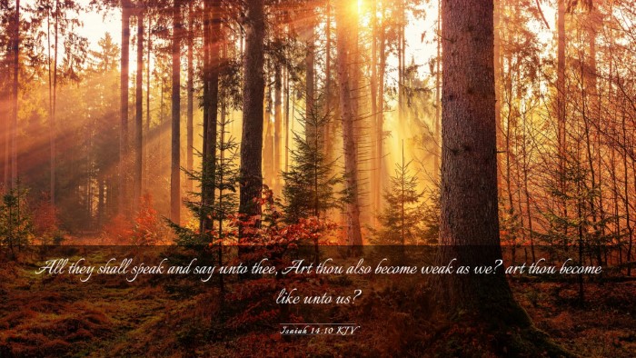 Picture 03 - Isaiah 14:10 KJV Desktop Wallpaper - All they shall speak and say unto thee, Art thou - Desktop Bible Verse Wallpaper