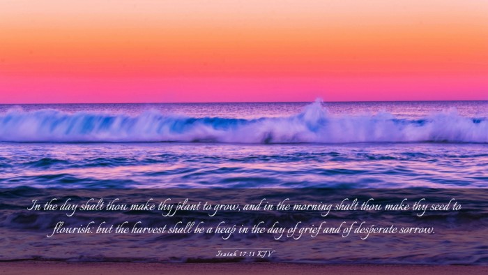 Picture 03 - Isaiah 17:11 KJV Desktop Wallpaper - In the day shalt thou make thy plant to grow, and - Desktop Bible Verse Wallpaper