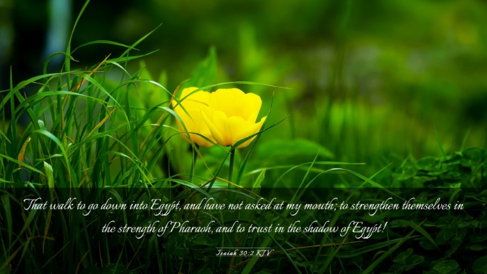 Picture 03 - Isaiah 30:2 KJV Desktop Wallpaper - That walk to go down into Egypt, and have not - Desktop Bible Verse Wallpaper