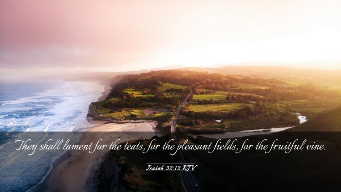 Picture 03 - Isaiah 32:12 KJV Desktop Wallpaper - They shall lament for the teats, for the pleasant - Desktop Bible Verse Wallpaper