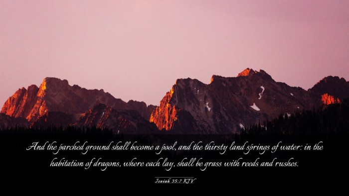 Picture 03 - Isaiah 35:7 KJV Desktop Wallpaper - And the parched ground shall become a pool, and - Desktop Bible Verse Wallpaper