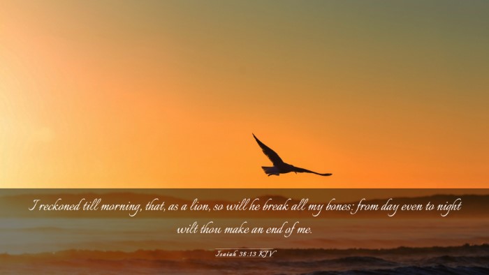 Picture 03 - Isaiah 38:13 KJV Desktop Wallpaper - I reckoned till morning, that, as a lion, so will - Desktop Bible Verse Wallpaper