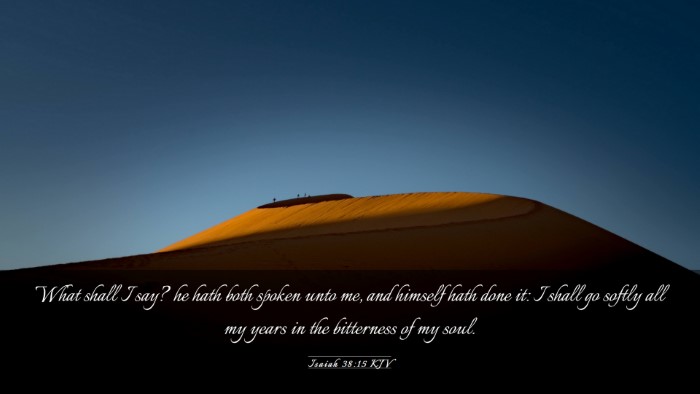 Picture 03 - Isaiah 38:15 KJV Desktop Wallpaper - What shall I say? he hath both spoken unto me, - Desktop Bible Verse Wallpaper