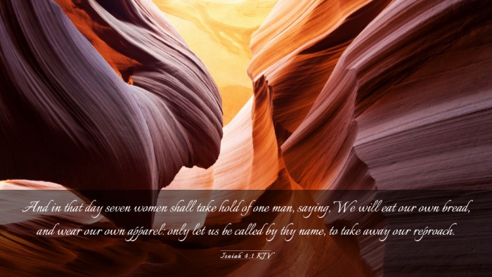 Picture 03 - Isaiah 4:1 KJV Desktop Wallpaper - And in that day seven women shall take hold of - Desktop Bible Verse Wallpaper
