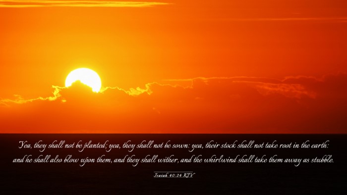 Picture 03 - Isaiah 40:24 KJV Desktop Wallpaper - Yea, they shall not be planted; yea, they shall - Desktop Bible Verse Wallpaper