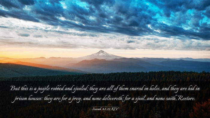 Picture 03 - Isaiah 42:22 KJV Desktop Wallpaper - But this is a people robbed and spoiled; they are - Desktop Bible Verse Wallpaper
