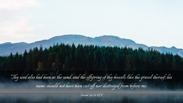 Picture 03 - Isaiah 48:19 KJV Desktop Wallpaper - Thy seed also had been as the sand, and the - Desktop Bible Verse Wallpaper