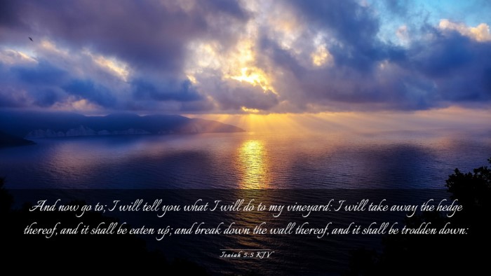 Picture 03 - Isaiah 5:5 KJV Desktop Wallpaper - And now go to; I will tell you what I will do to - Desktop Bible Verse Wallpaper