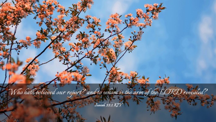 Picture 03 - Isaiah 53:1 KJV Desktop Wallpaper - Who hath believed our report? and to whom is the - Desktop Bible Verse Wallpaper
