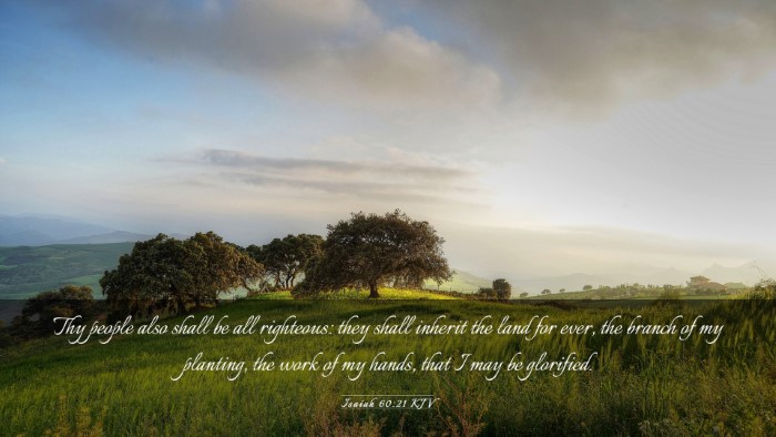 Picture 03 - Isaiah 60:21 KJV Desktop Wallpaper - Thy people also shall be all righteous: they - Desktop Bible Verse Wallpaper