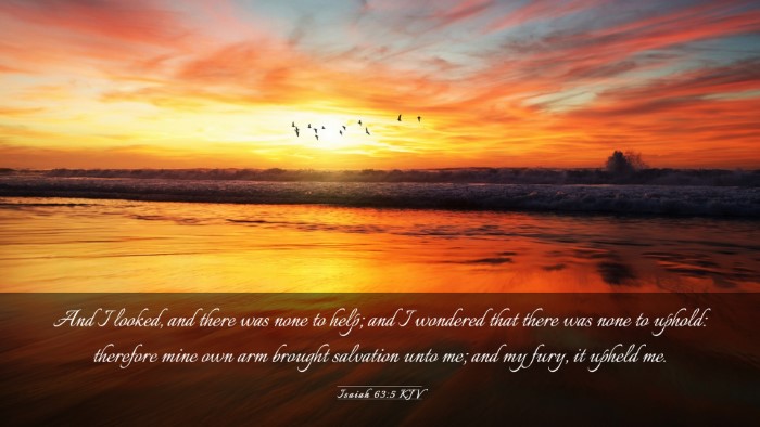 Picture 03 - Isaiah 63:5 KJV Desktop Wallpaper - And I looked, and there was none to help; and I - Desktop Bible Verse Wallpaper