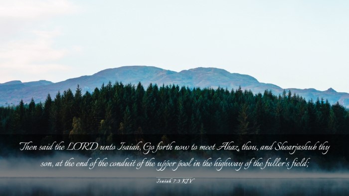 Picture 03 - Isaiah 7:3 KJV Desktop Wallpaper - Then said the LORD unto Isaiah, Go forth now to - Desktop Bible Verse Wallpaper