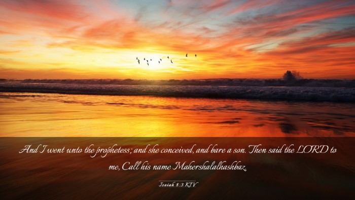 Picture 03 - Isaiah 8:3 KJV Desktop Wallpaper - And I went unto the prophetess; and she - Desktop Bible Verse Wallpaper