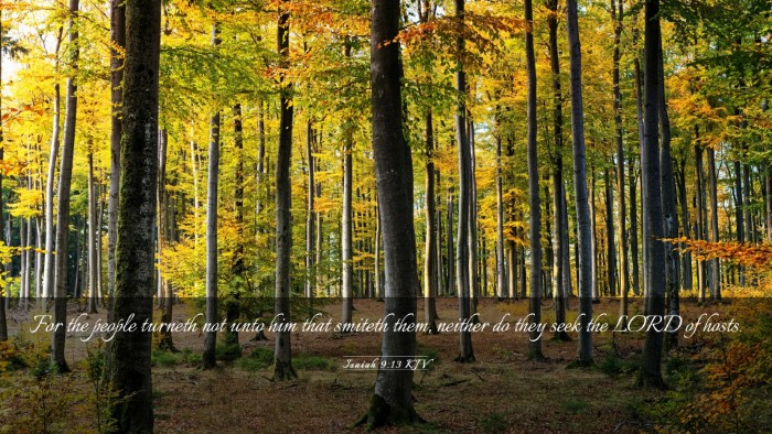 Picture 03 - Isaiah 9:13 KJV Desktop Wallpaper - For the people turneth not unto him that smiteth - Desktop Bible Verse Wallpaper