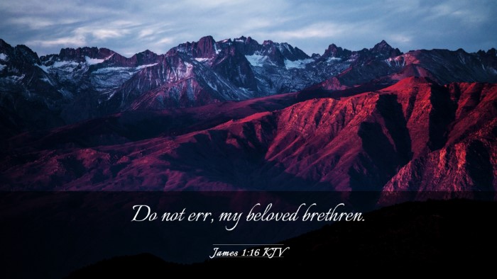 Picture 03 - James 1:16 KJV Desktop Wallpaper - Do not err, my beloved - Desktop Bible Verse Wallpaper