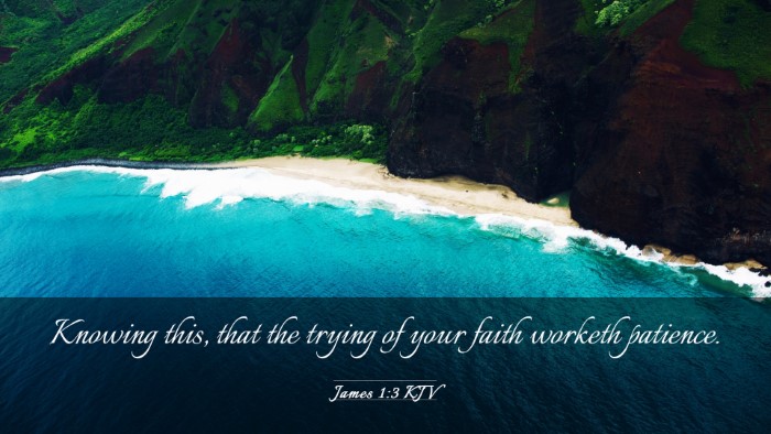 Picture 03 - James 1:3 KJV Desktop Wallpaper - Knowing this, that the trying of your faith - Desktop Bible Verse Wallpaper