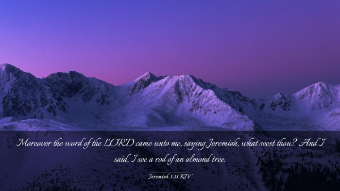 Picture 03 - Jeremiah 1:11 KJV Desktop Wallpaper - Moreover the word of the LORD came unto me, - Desktop Bible Verse Wallpaper