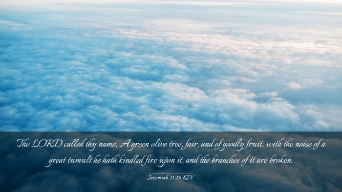 Picture 03 - Jeremiah 11:16 KJV Desktop Wallpaper - The LORD called thy name, A green olive tree, - Desktop Bible Verse Wallpaper