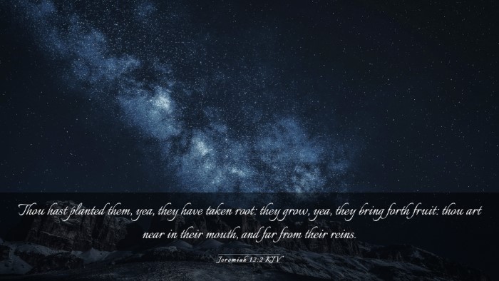 Picture 03 - Jeremiah 12:2 KJV Desktop Wallpaper - Thou hast planted them, yea, they have taken - Desktop Bible Verse Wallpaper