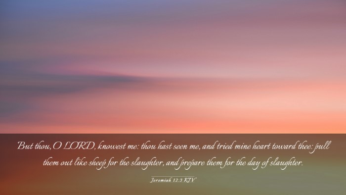 Picture 03 - Jeremiah 12:3 KJV Desktop Wallpaper - But thou, O LORD, knowest me: thou hast seen me, - Desktop Bible Verse Wallpaper