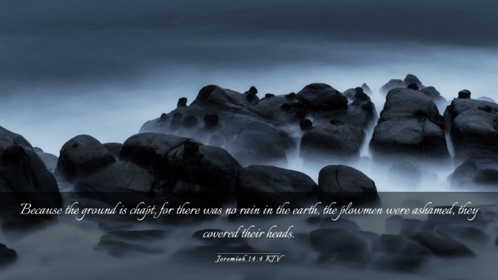 Picture 03 - Jeremiah 14:4 KJV Desktop Wallpaper - Because the ground is chapt, for there was no - Desktop Bible Verse Wallpaper
