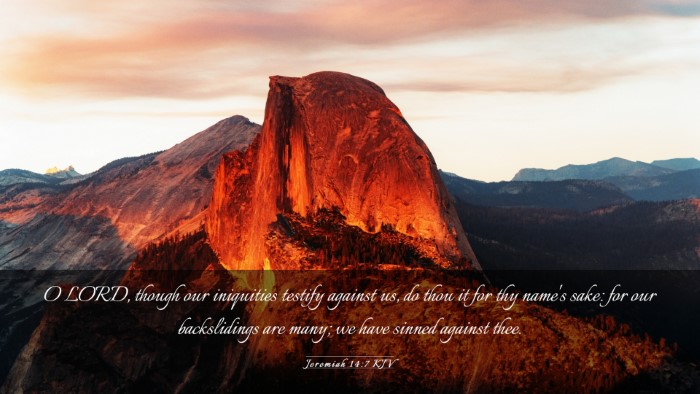 Picture 03 - Jeremiah 14:7 KJV Desktop Wallpaper - O LORD, though our iniquities testify against us, - Desktop Bible Verse Wallpaper