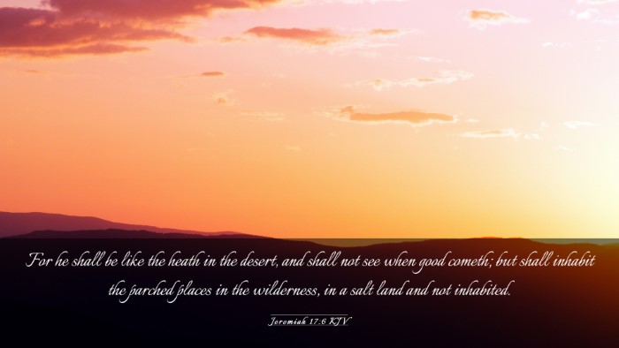 Picture 03 - Jeremiah 17:6 KJV Desktop Wallpaper - For he shall be like the heath in the desert, and - Desktop Bible Verse Wallpaper