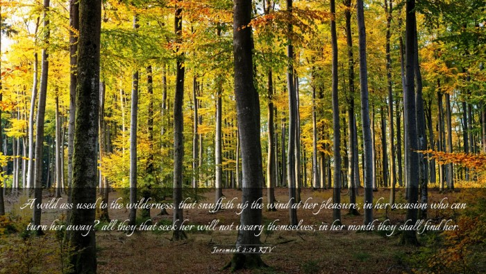 Picture 03 - Jeremiah 2:24 KJV Desktop Wallpaper - A wild ass used to the wilderness, that snuffeth - Desktop Bible Verse Wallpaper