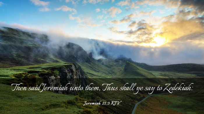 Picture 03 - Jeremiah 21:3 KJV Desktop Wallpaper - Then said Jeremiah unto them, Thus shall ye say - Desktop Bible Verse Wallpaper