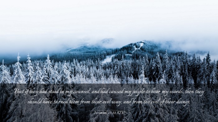 Picture 03 - Jeremiah 23:22 KJV Desktop Wallpaper - But if they had stood in my counsel, and had - Desktop Bible Verse Wallpaper