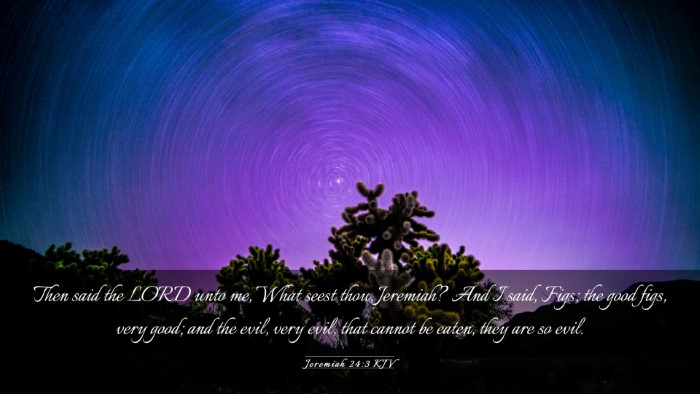 Picture 03 - Jeremiah 24:3 KJV Desktop Wallpaper - Then said the LORD unto me, What seest thou, - Desktop Bible Verse Wallpaper