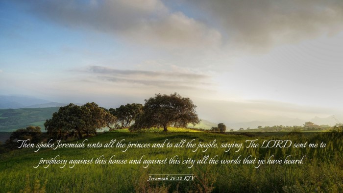 Picture 03 - Jeremiah 26:12 KJV Desktop Wallpaper - Then spake Jeremiah unto all the princes and to - Desktop Bible Verse Wallpaper
