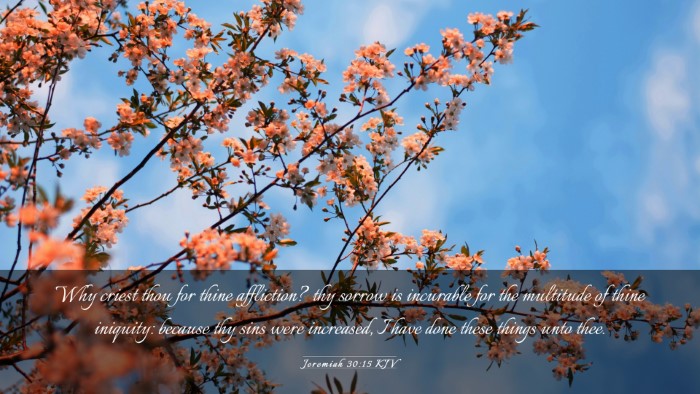 Picture 03 - Jeremiah 30:15 KJV Desktop Wallpaper - Why criest thou for thine affliction? thy sorrow - Desktop Bible Verse Wallpaper