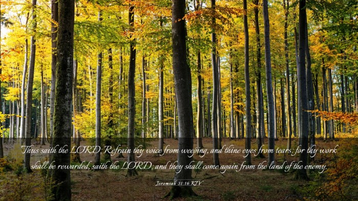 Picture 03 - Jeremiah 31:16 KJV Desktop Wallpaper - Thus saith the LORD; Refrain thy voice from - Desktop Bible Verse Wallpaper
