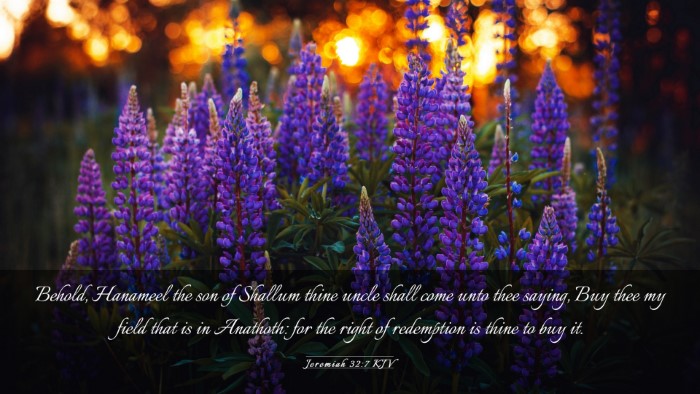 Picture 03 - Jeremiah 32:7 KJV Desktop Wallpaper - Behold, Hanameel the son of Shallum thine uncle - Desktop Bible Verse Wallpaper
