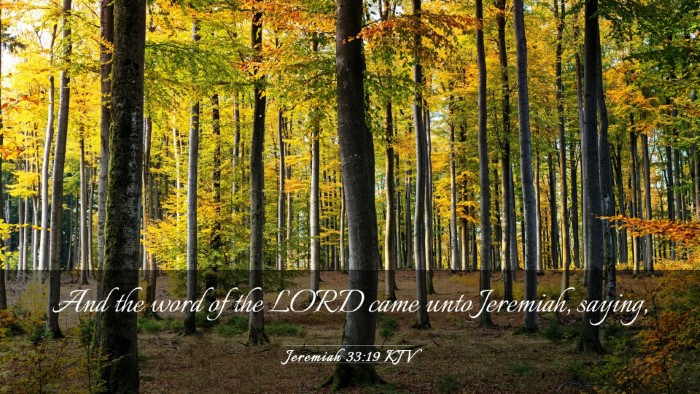 Picture 03 - Jeremiah 33:19 KJV Desktop Wallpaper - And the word of the LORD came unto Jeremiah, - Desktop Bible Verse Wallpaper