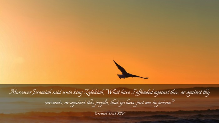 Picture 03 - Jeremiah 37:18 KJV Desktop Wallpaper - Moreover Jeremiah said unto king Zedekiah, What - Desktop Bible Verse Wallpaper