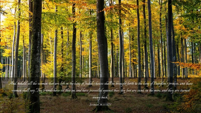 Picture 03 - Jeremiah 38:22 KJV Desktop Wallpaper - And, behold, all the women that are left in the - Desktop Bible Verse Wallpaper