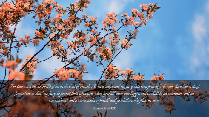 Picture 03 - Jeremiah 42:18 KJV Desktop Wallpaper - For thus saith the LORD of hosts, the God of - Desktop Bible Verse Wallpaper