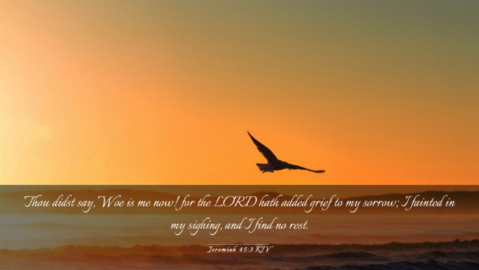 Picture 03 - Jeremiah 45:3 KJV Desktop Wallpaper - Thou didst say, Woe is me now! for the LORD hath - Desktop Bible Verse Wallpaper