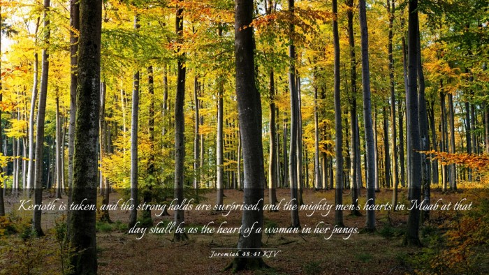 Picture 03 - Jeremiah 48:41 KJV Desktop Wallpaper - Kerioth is taken, and the strong holds are - Desktop Bible Verse Wallpaper