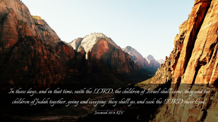 Picture 03 - Jeremiah 50:4 KJV Desktop Wallpaper - In those days, and in that time, saith the LORD, - Desktop Bible Verse Wallpaper