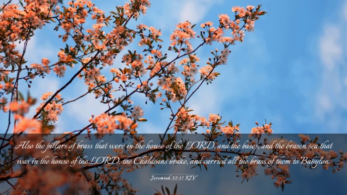 Picture 03 - Jeremiah 52:17 KJV Desktop Wallpaper - Also the pillars of brass that were in the house - Desktop Bible Verse Wallpaper