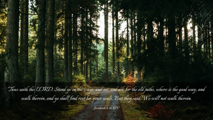 Picture 03 - Jeremiah 6:16 KJV Desktop Wallpaper - Thus saith the LORD, Stand ye in the ways, and - Desktop Bible Verse Wallpaper