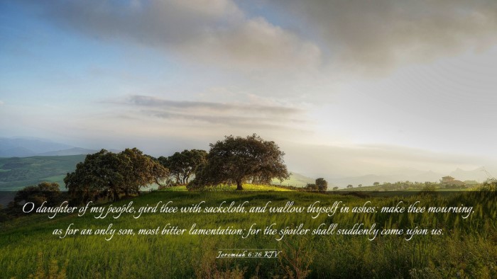 Picture 03 - Jeremiah 6:26 KJV Desktop Wallpaper - O daughter of my people, gird thee with - Desktop Bible Verse Wallpaper