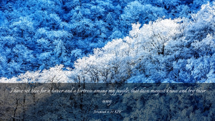Picture 03 - Jeremiah 6:27 KJV Desktop Wallpaper - I have set thee for a tower and a fortress among - Desktop Bible Verse Wallpaper